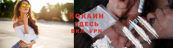 стаф Баксан