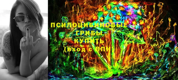 спиды Козловка