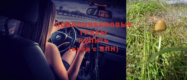 дживик Балабаново