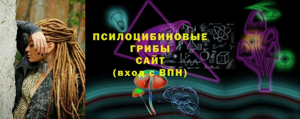 стаф Баксан